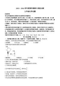 江苏省徐州市铜山区2023-2024学年九年级上学期期中质量自测化学试卷