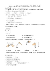 安徽省合肥市庆平希望学校2023~2024学年九年级上学期11月份月考化学试题