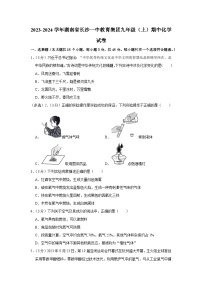 2023-2024学年湖南省长沙一中教育集团九年级（上）期中化学试卷