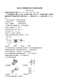 江西省吉安市八校联盟2023-2024学年九年级上学期期中化学试题