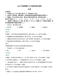 河南省南阳市方城县2023-2024学年九年级上学期期中化学试题（解析版）