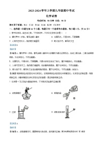 河南省郑州市实验外国语中学等校2023-2024学年九年级上学期期中联考化学试题（解析版）