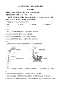 湖南省邵阳市2023-2024学年九年级上学期期中化学试题（解析版）