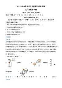 山东省日照市岚山区2023-204学年上学期九年级期中考试化学试卷（解析版）