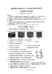 四川省成都市石室教育集团2023-2024学年九年级上学期11月期中化学试题