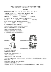 河南省平顶山市实验中学2023-2024学年九年级上学期期中化学测试卷(无答案)