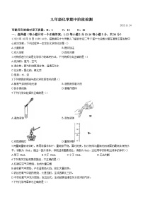 山东省德州市平原县三校联考2023-2024学年九年级上学期期中化学试题