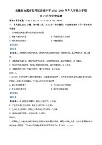 安徽省合肥市包河区西递中学2023-2024学年九年级上学期11月月考化学试题（解析版）