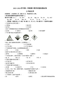 河南省洛阳市新安县2023-2024学年九年级上学期期中考试化学试卷(无答案)