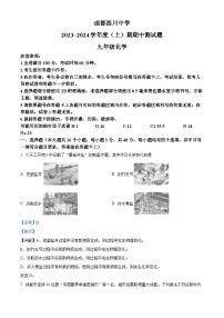 四川省成都市武侯区西川中学2023-2024学年九年级上学期11月期中化学试题（解析版）