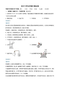 辽宁省营口市育才初级中学2023-2024学年九年级上学期期中考试化学试题（解析版）