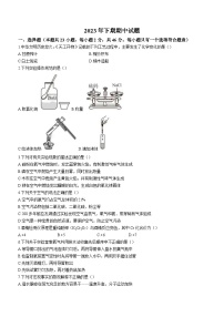 湖南省衡阳市成章实验中学2023-2024学年九年级上学期期中化学试题