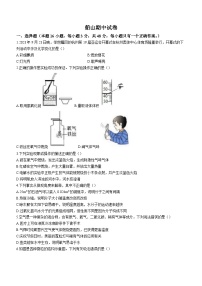 湖南省衡阳市船山实验中学2023-2024学年九年级上学期期中化学试题