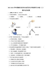 福建省龙岩市永定区部分学校2023-2024学年九年级上学期期中化学试卷