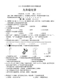 广西桂平市木乐镇第一初级中学2023-2024学年九年级上学期期中化学试题