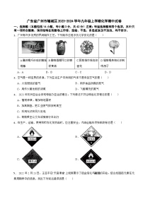 广东省广州市增城区2023-2024学年九年级上学期化学期中试卷