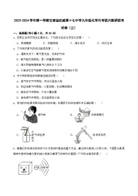 甘肃省武威市凉州区武威第十七中学教研联片联考2023-2024学年九年级上学期11月月考化学试题