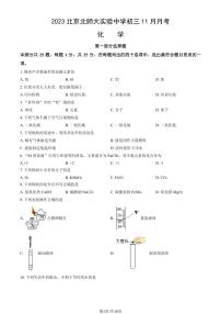 北京市北师大附属实验中学2023-2024学年九年级上学期11月月考化学试卷