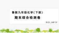 鲁教版化学九年级下册 期末综合检测卷课件