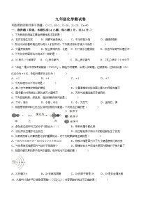 河南省浚县九校联考2023-2024学年九年级上学期11月月考化学试题