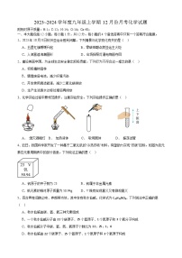 安徽省合肥市庆平希望学校2023_2024学年九年级上学期12月份月考化学试题