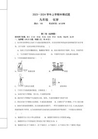 四川省眉山市青神县青神县初中期中联合考试2023-2024学年九年级上学期11月期中化学试题