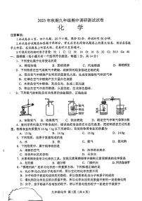 河南省南阳市2023-2024学年九年级上学期11月期中化学试题