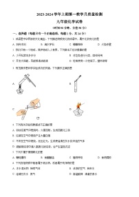 河南省三门峡市灵宝市秦岭学校2023-2024学年九年级上学期10月月考化学试题（解析版）