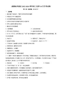 四川省成都市双流区实外西区学校2023-2024学年九年级上学期10月月考化学试题（解析版）