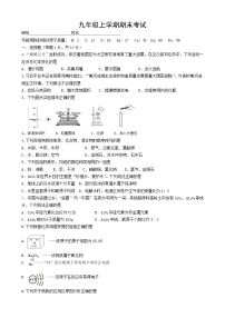 河南省济源市济水一中九年级化学上册期末测试 无答案