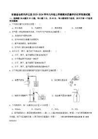 安徽省合肥市庐江县2023-2024学年九年级上学期期末质量评价化学预测试题