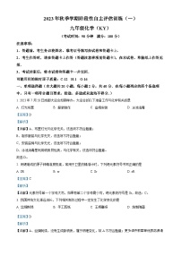 广西钦州市浦北县福旺中学2023-2024学年九年级上学期10月月考化学试题（解析版）