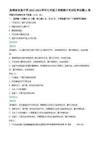 海南省海口市农垦中学2023-2024学年九年级上学期期中考试化学试题A卷（解析版）