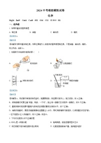 2024年河北省中考化学模拟试题（解析版）