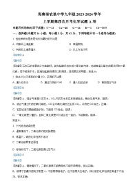 海南省海口市农垦中学2023-2024学年九年级上学期12月第四次月考化学试题A卷（解析版）