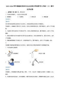 福建省龙岩市永定区部分学校2023-2024学年九年级上学期期中化学试题（解析版）