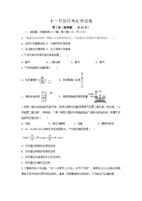 湖北省阳新县陶港镇初级中学2023-2024学年九年级上学期十一月份月考化学试卷