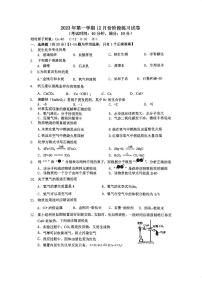 上海市闵行区2023-2024学年九年级上学期12月份阶段练习化学试卷