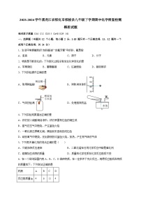 2023-2024学年黑龙江省绥化市绥棱县九年级下学期期中化学质量检测模拟试题（含答案）