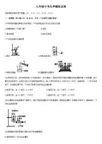 2022年江苏省宿迁市泗洪县峰山学校中考模拟化学试卷（word版无答案）