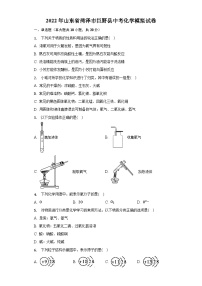 2022年山东省菏泽市巨野县中考化学模拟试卷(word版无答案)