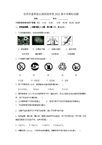 2022年四川省自贡市富顺县北湖实验学校中考模拟化学试题二  word版 无答案