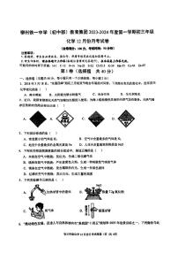 广西柳州铁一中学（初中部）2023-2024学年九年级上学期12月月考化学试卷