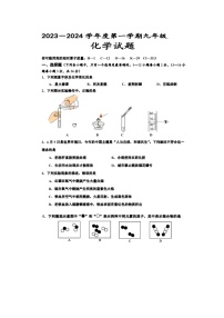 山东省德州市齐河县马集乡中学2023-2024学年九年级上学期期中考试化学试题