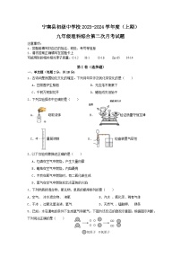 四川省凉山州宁南县初级中学校2023-2024学年九年级上学期12月月考化学试题