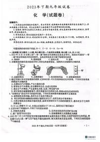 湖南省邵阳市2023-2024学年九年级上学期第一次联考化学试题