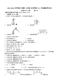 辽宁省沈阳市和平区南昌中学2023-2024学年九年级上学期12月月考化学试题