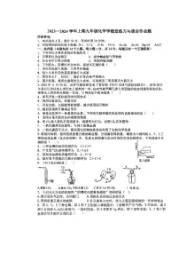河南省郑州市枫杨外国语学校2023-2024学年九年级上学期第二次月考化学试卷