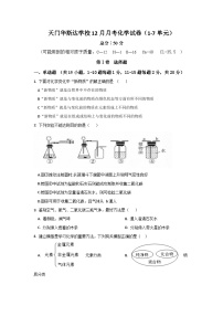 湖北省天门市华斯达学校2023-2024学年九年级上学期12月月考化学（普通班）试题