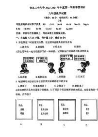 山东省青岛市第三十九中学2023-2024学年九年级上学期12月份月考化学试卷